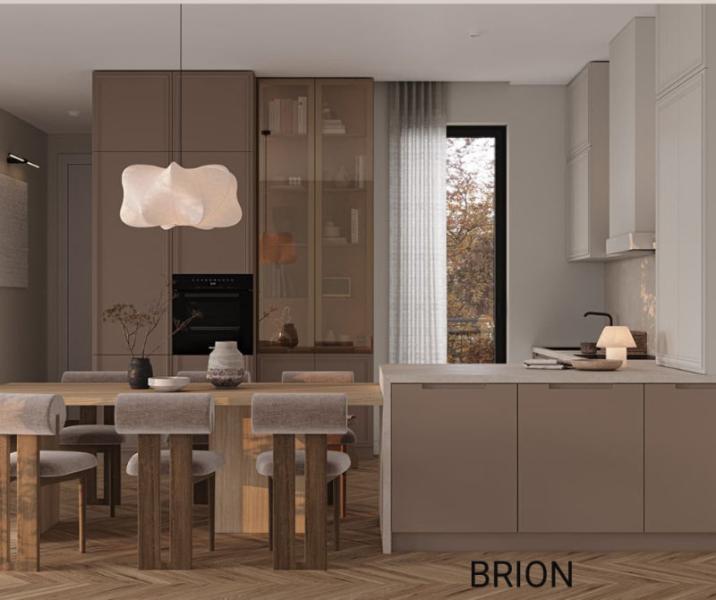 brion-24-1